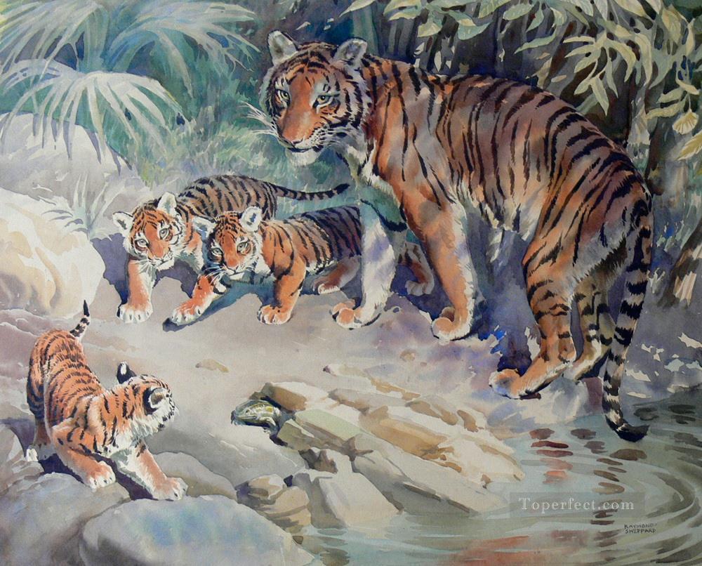tiger and cubs 3 Oil Paintings
